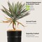 4.2FT Artificial Yucca Tree with Galvanized Steel Black Planter, 51'' Realistic Tropical Dracaena Fake Faux Silk Plant, Modern Elegant Home House Office Living Room Indoor Outdoor Decor